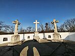 IMG_20260307_074744