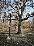 IMG_20260307_075508