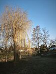 IMG_20260307_071248