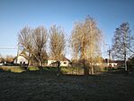 IMG_20260307_071554