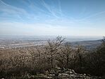 IMG_20260228_144611