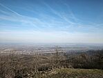 IMG_20260228_145227