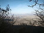 IMG_20260228_150147