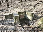 IMG_20260228_124411
