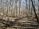 IMG_20260228_124553