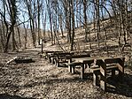 IMG_20260228_124605