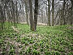 IMG_20260321_145857