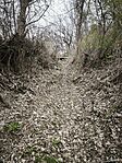 IMG_20260320_080711