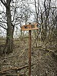 IMG_20260320_080755