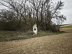 IMG_20260320_080812
