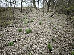 IMG_20260320_080842