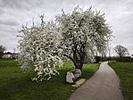 IMG_20260321_162901