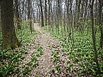 IMG_20260321_150648