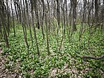 IMG_20260321_150655