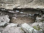 IMG_20260321_151913