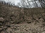 IMG_20260321_152401