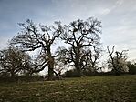IMG_20260322_073147