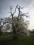 IMG_20260322_073214