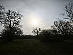 IMG_20260322_073547