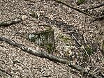 IMG_20260321_121327