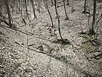 IMG_20260321_121338
