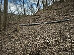 IMG_20260321_121614