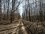 IMG_20260321_094611