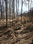 IMG_20260321_100722