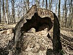 IMG_20260321_100932