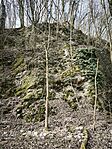 IMG_20260321_084756