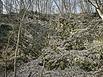 IMG_20260321_085449