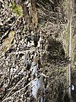 IMG_20260321_085756