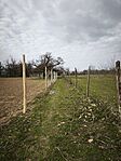 IMG_20260321_075525