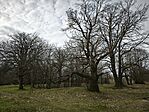 IMG_20260321_075708