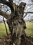 IMG_20260321_080008