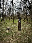 IMG_20260320_162219