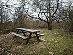 IMG_20260320_162341