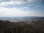 IMG_20260320_110559