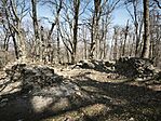 IMG_20260320_111454