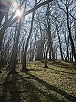 IMG_20260320_111542