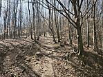 IMG_20260320_112208
