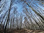 IMG_20260320_113008
