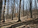 IMG_20260320_113747