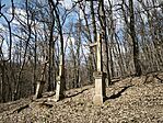IMG_20260320_120901