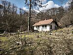 IMG_20260320_121136