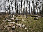 IMG_20260320_132159