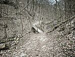 IMG_20260320_143450
