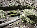 IMG_20260320_143547