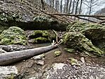 IMG_20260320_143603
