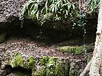 IMG_20260320_144225
